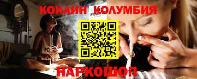 гашик Кингисепп
