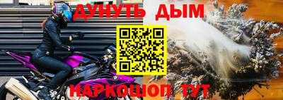 гашик Кингисепп