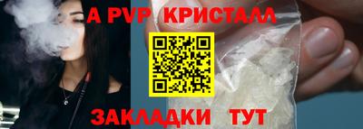 гашик Кингисепп