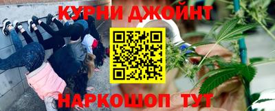 гашик Кингисепп