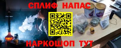 гашик Кингисепп