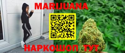 гашик Кингисепп