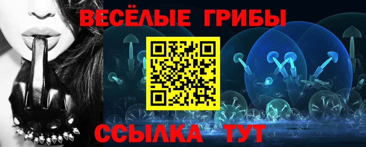 Псилоцибиновые грибы Cubensis  Вход с VPN  Кохма 